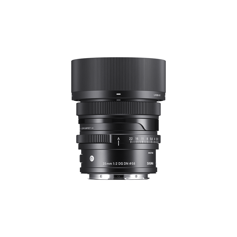 35mm F2 DG DN